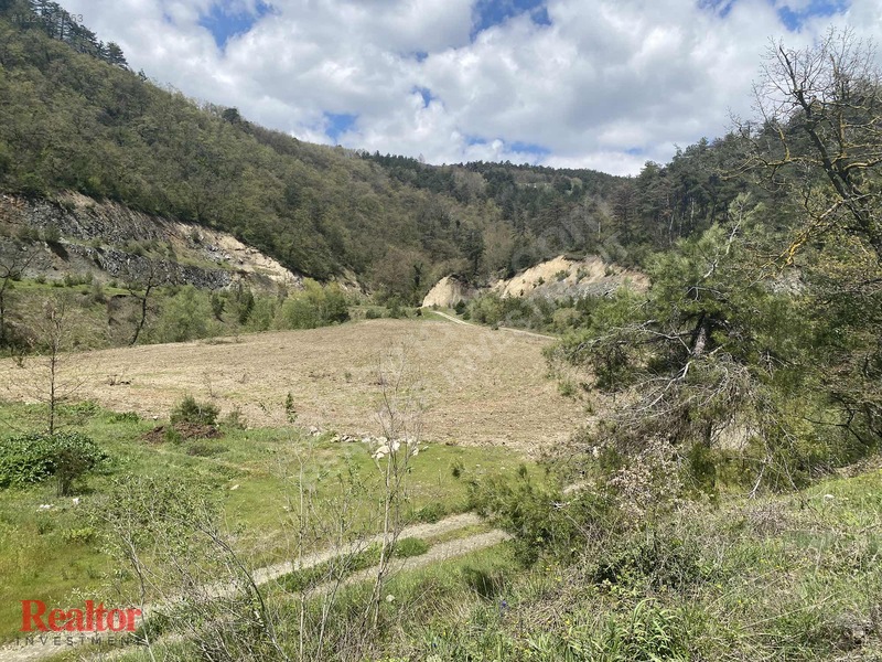 Muhteşem Fırsat 6.000 M2 Yola Cepheli Müstakil Tapulu — fotoğraf 8