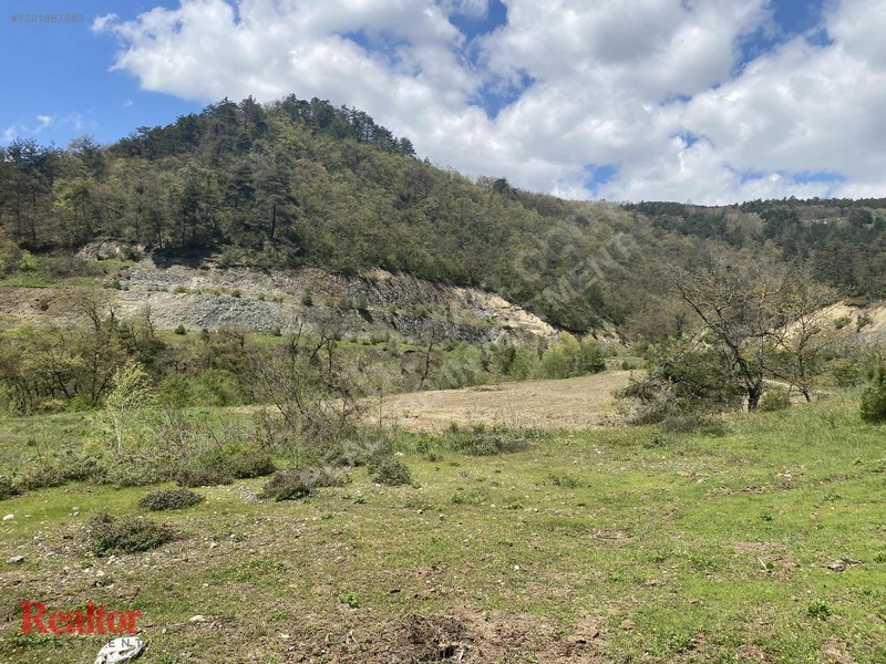 Muhteşem Fırsat 6.000 M2 Yola Cepheli Müstakil Tapulu — fotoğraf 10