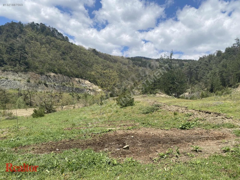 Muhteşem Fırsat 6.000 M2 Yola Cepheli Müstakil Tapulu — fotoğraf 12
