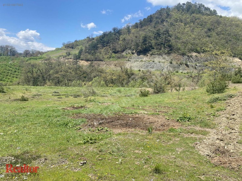 Muhteşem Fırsat 6.000 M2 Yola Cepheli Müstakil Tapulu — fotoğraf 13