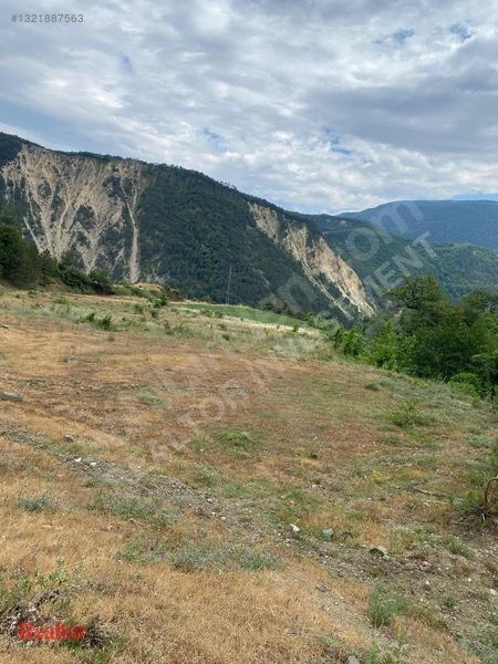 Muhteşem Fırsat 6.000 M2 Yola Cepheli Müstakil Tapulu — fotoğraf 21