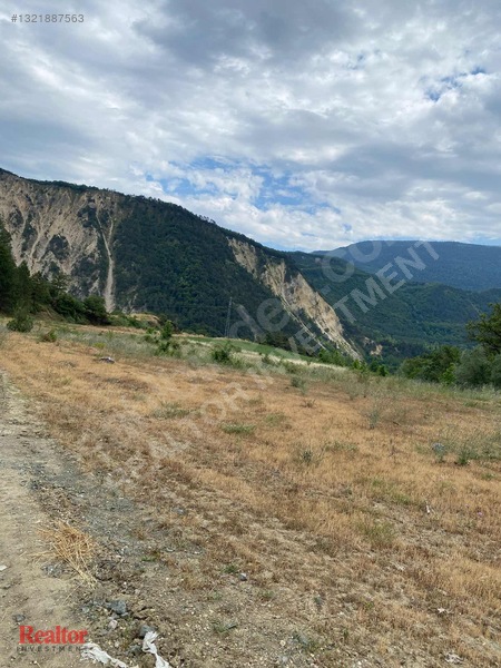Muhteşem Fırsat 6.000 M2 Yola Cepheli Müstakil Tapulu — fotoğraf 22