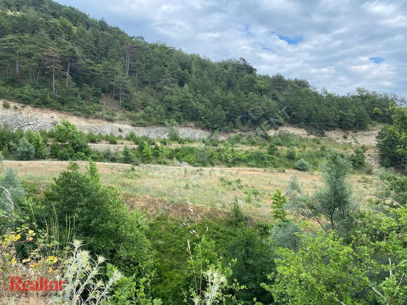 Muhteşem Fırsat 6.000 M2 Yola Cepheli Müstakil Tapulu — fotoğraf 23