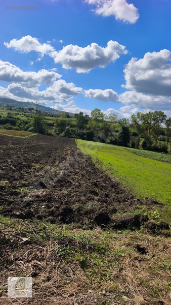 Truva/nazım Demirci'den Tepeköy Yola Cephe Satılık Fırsat Tarla — fotoğraf 3