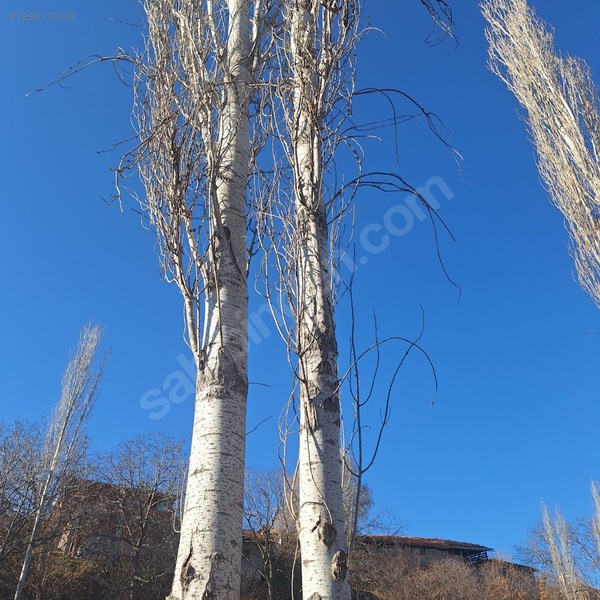_resmi_2 Katlı Evinizi Hemen Yapın_imarlı_695.m2 Müstakil Tapulu — fotoğraf 28