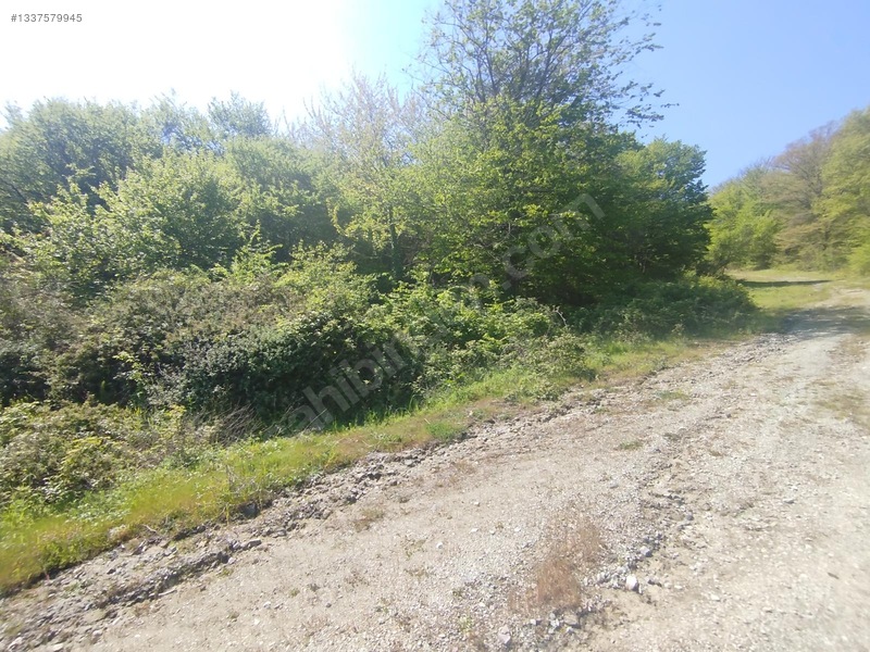 Sile Kabokozda Arsa — fotoğraf 4
