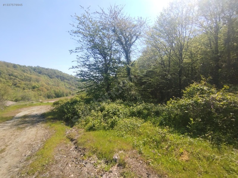 Sile Kabokozda Arsa — fotoğraf 9
