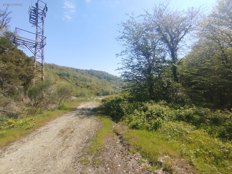 Sile Kabokozda Arsa — fotoğraf 10