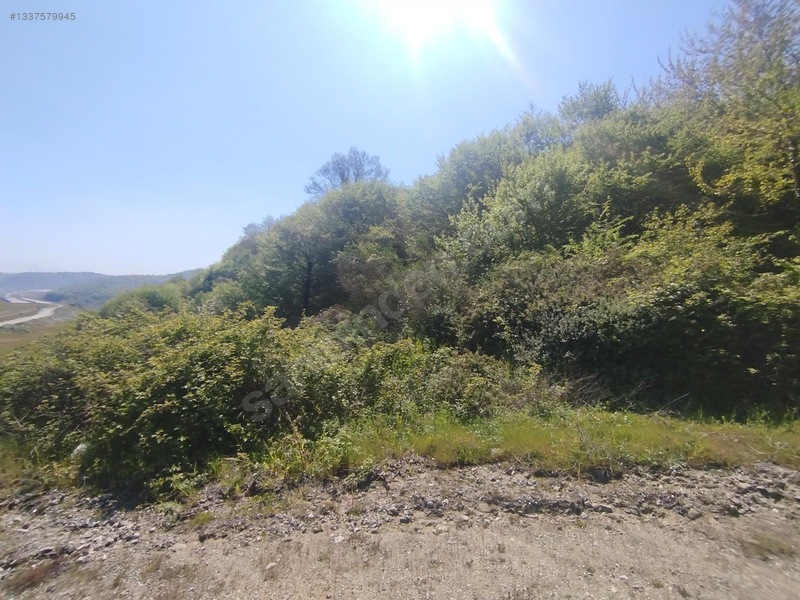 Sile Kabokozda Arsa — fotoğraf 13