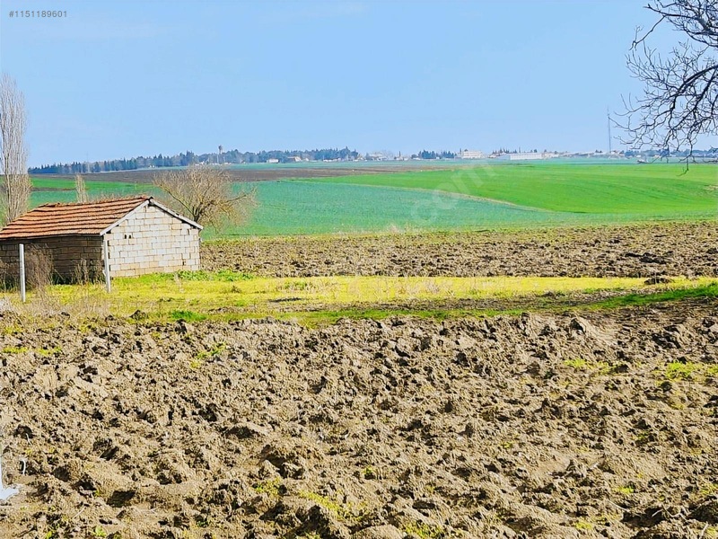 Sancaktepde 250M2 375 Nakit Kalan Elden Senet