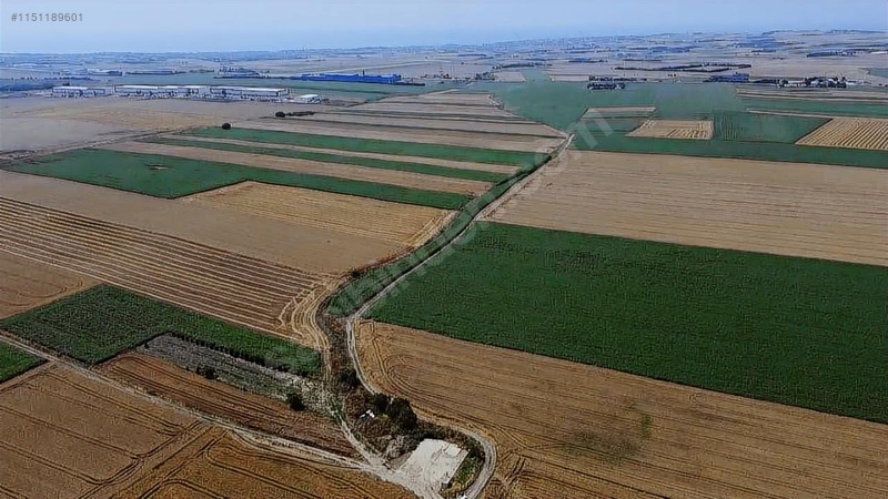 Sancaktepde 250m2 375 Nakit Kalan Elden Senet — fotoğraf 10