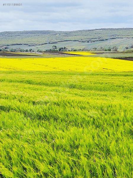 Sancaktepde 250m2 375 Nakit Kalan Elden Senet — fotoğraf 12