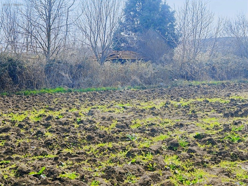 Sancaktepde 250m2 375 Nakit Kalan Elden Senet — fotoğraf 16