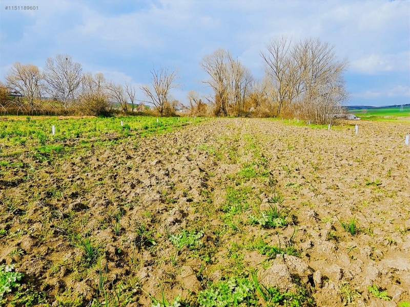 Sancaktepde 250m2 375 Nakit Kalan Elden Senet — fotoğraf 18