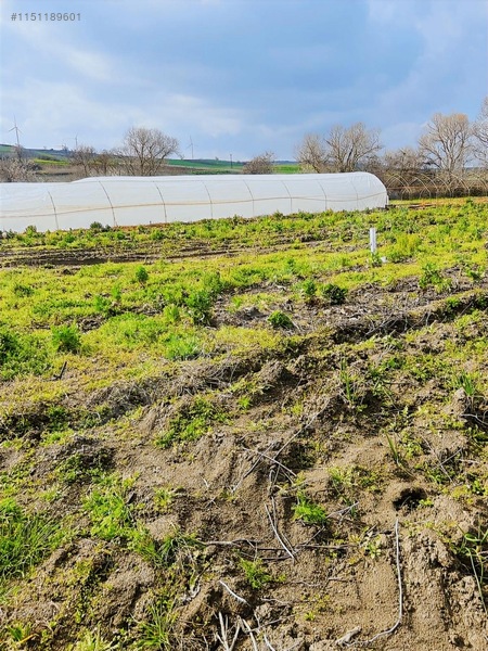 Sancaktepde 250m2 375 Nakit Kalan Elden Senet — fotoğraf 19