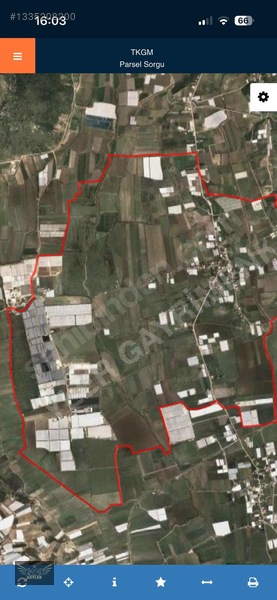 Çanakçı Kabasakal'da 25.000m² Satılık Tarla(kdyol-elk-su Mevct.) — fotoğraf 2