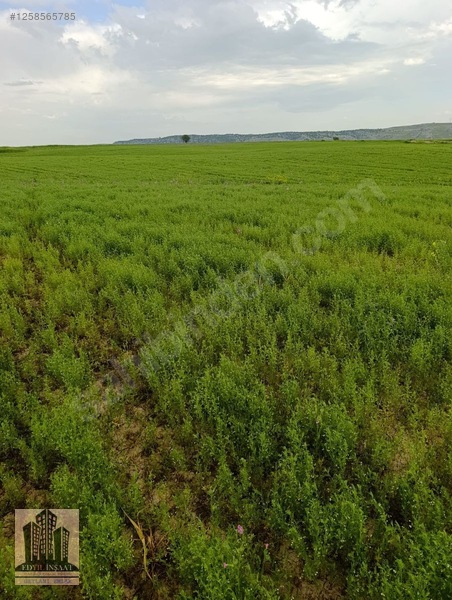 Geylani Emlaktan Diyarbakır Ergani Kıralan Köyünde Satılık Tarla