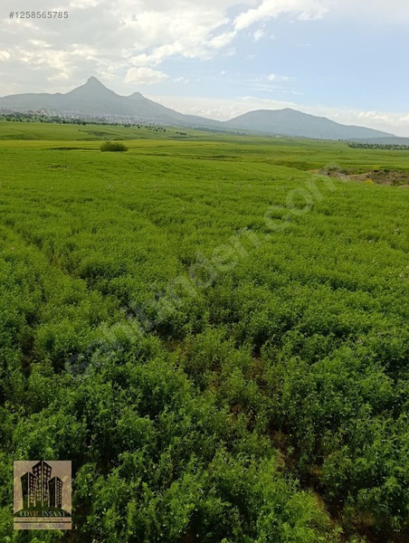 Geylani Emlaktan Diyarbakır Ergani Kıralan Köyünde Satılık Tarla — fotoğraf 2