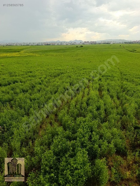 Geylani Emlaktan Diyarbakır Ergani Kıralan Köyünde Satılık Tarla — fotoğraf 5