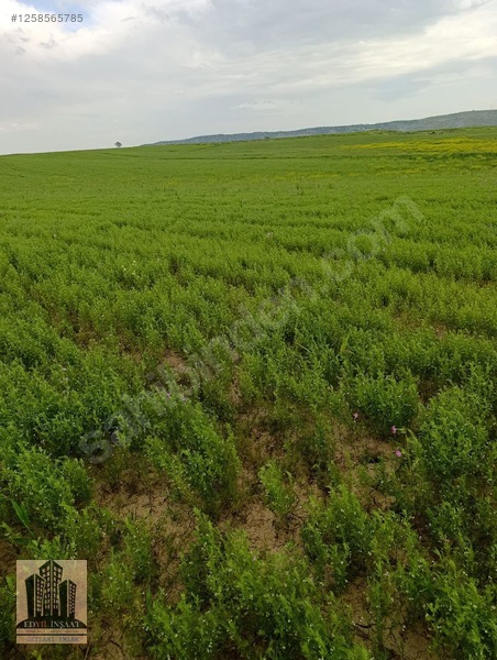 Geylani Emlaktan Diyarbakır Ergani Kıralan Köyünde Satılık Tarla — fotoğraf 6