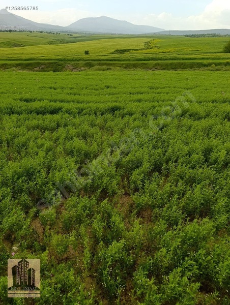 Geylani Emlaktan Diyarbakır Ergani Kıralan Köyünde Satılık Tarla — fotoğraf 8