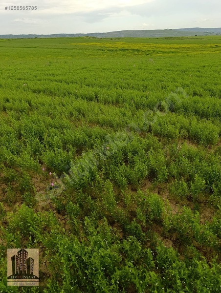 Geylani Emlaktan Diyarbakır Ergani Kıralan Köyünde Satılık Tarla — fotoğraf 9