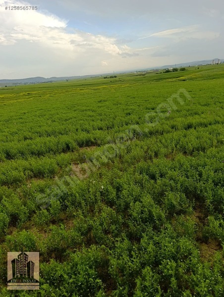 Geylani Emlaktan Diyarbakır Ergani Kıralan Köyünde Satılık Tarla — fotoğraf 14