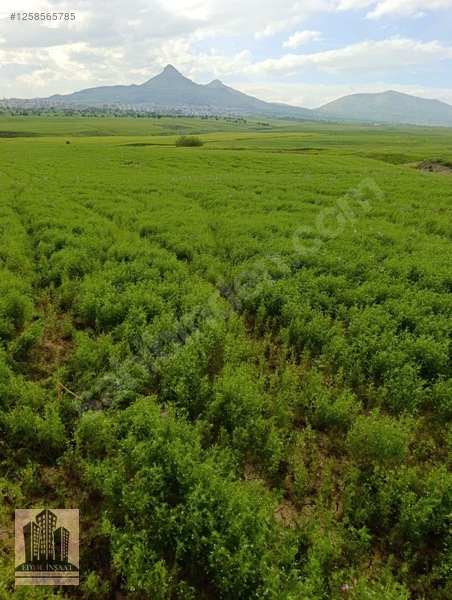 Geylani Emlaktan Diyarbakır Ergani Kıralan Köyünde Satılık Tarla — fotoğraf 20