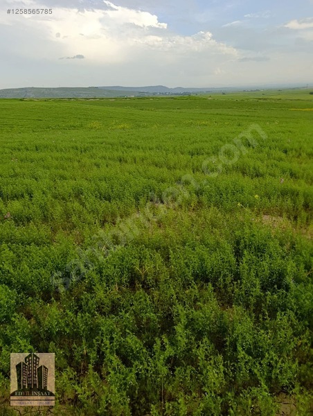 Geylani Emlaktan Diyarbakır Ergani Kıralan Köyünde Satılık Tarla — fotoğraf 21