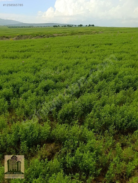 Geylani Emlaktan Diyarbakır Ergani Kıralan Köyünde Satılık Tarla — fotoğraf 22