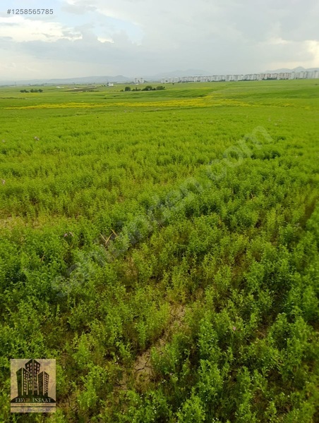 Geylani Emlaktan Diyarbakır Ergani Kıralan Köyünde Satılık Tarla — fotoğraf 23