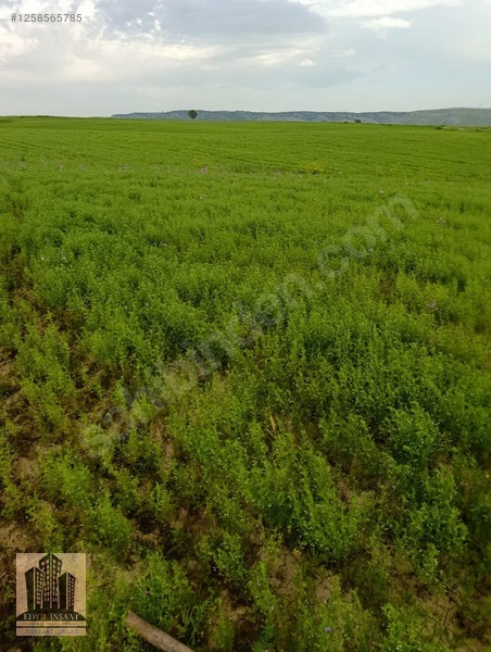 Geylani Emlaktan Diyarbakır Ergani Kıralan Köyünde Satılık Tarla — fotoğraf 25