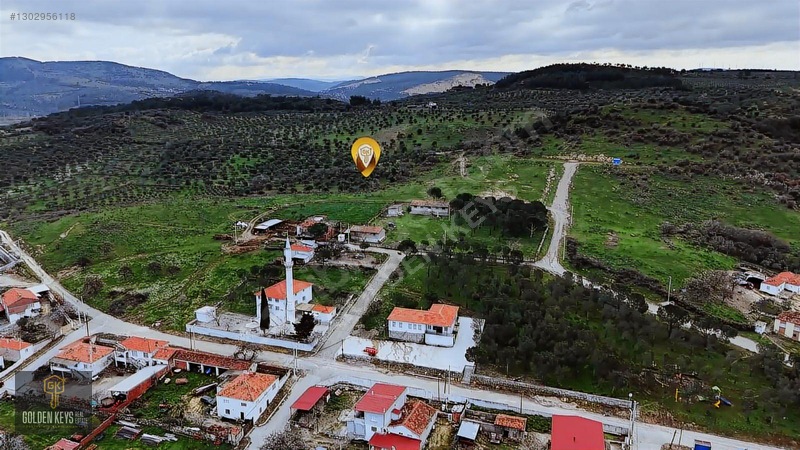 Bergama Eğrigöl Mahallesinde Satılık 6214m2 Verimli Zeytinlik
