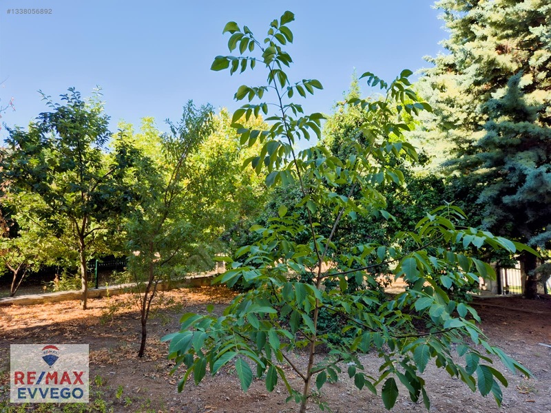 Türkkonut Çayyolu 2 Kiralık 3+2 Villa — fotoğraf 20