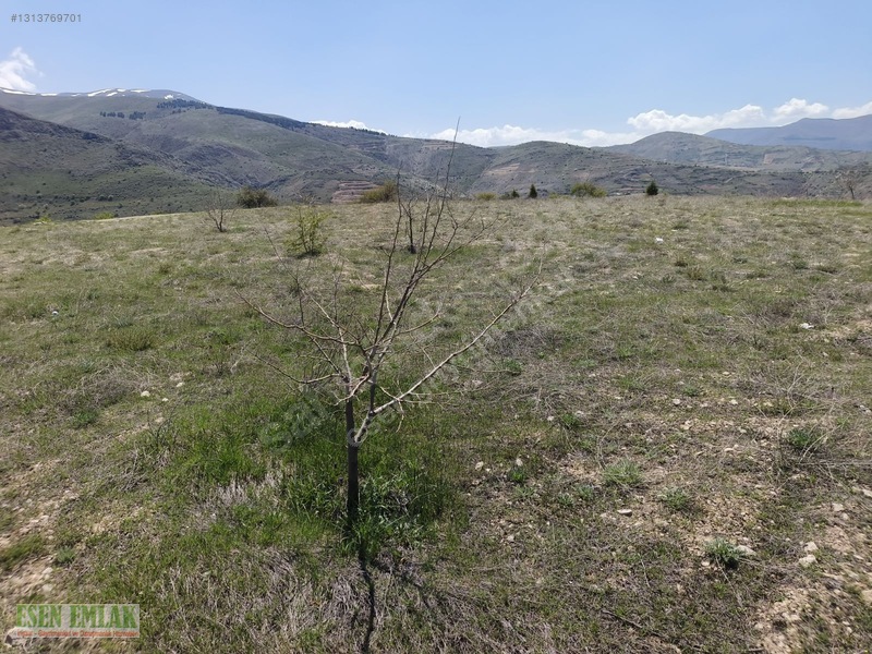 Konakta Satılık Arsa — fotoğraf 9