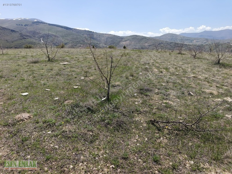 Konakta Satılık Arsa — fotoğraf 10