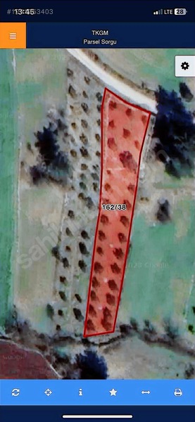 Alaçam Köyünde Yola Sıfır 1.740 M2 Tarla Vasıflı Zeytinlik — fotoğraf 11