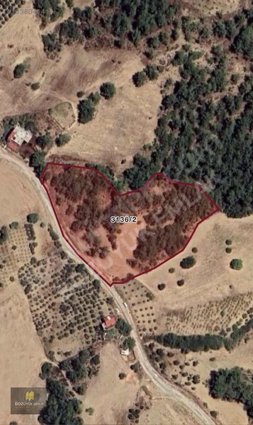 Köy İçinde Tektapu Bağ Vasıflı 8.250 M2 Yola Sıfır Cephe — fotoğraf 3