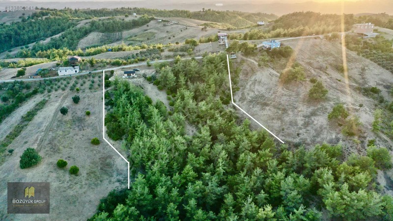 Köy İçinde Tektapu Bağ Vasıflı 8.250 M2 Yola Sıfır Cephe — fotoğraf 18
