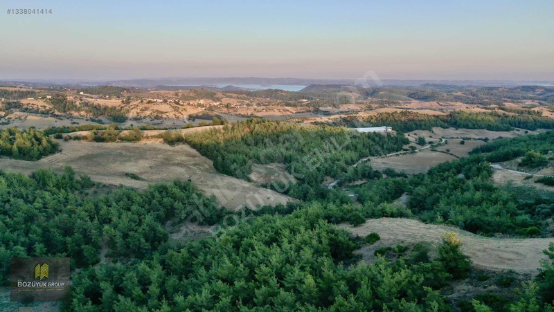 Köy İçinde Tektapu Bağ Vasıflı 8.250 M2 Yola Sıfır Cephe — fotoğraf 24