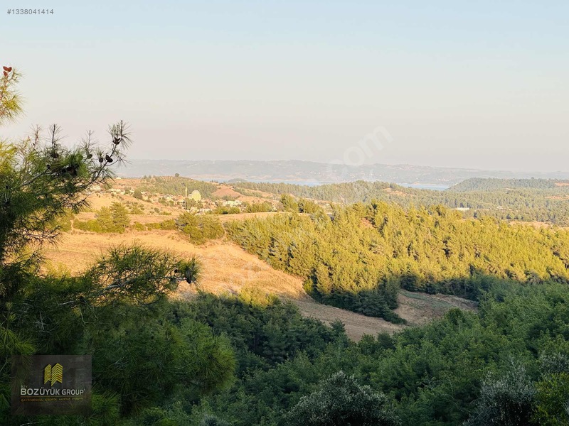 Köy İçinde Tektapu Bağ Vasıflı 8.250 M2 Yola Sıfır Cephe — fotoğraf 40