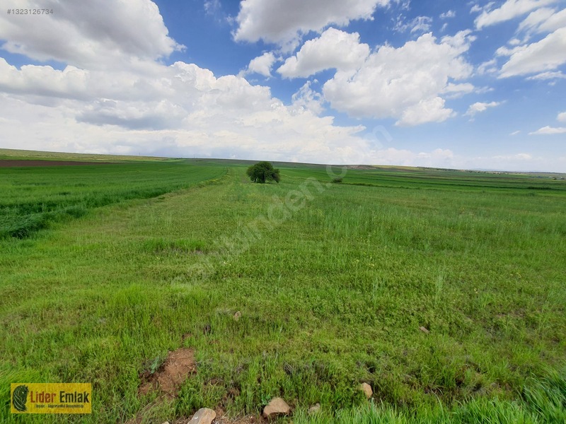 Eskişehir Tepebaşı Aşağıkartal Da Satılık 2.150m2 Tarla — fotoğraf 5