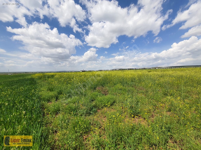 Eskişehir Tepebaşı Aşağıkartal Da Satılık 2.150m2 Tarla — fotoğraf 7