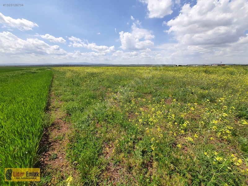Eskişehir Tepebaşı Aşağıkartal Da Satılık 2.150m2 Tarla — fotoğraf 11