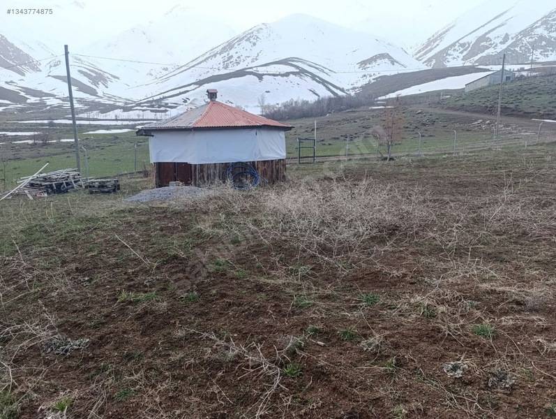 Vestan Emlaktan Satılık Tarla — fotoğraf 7