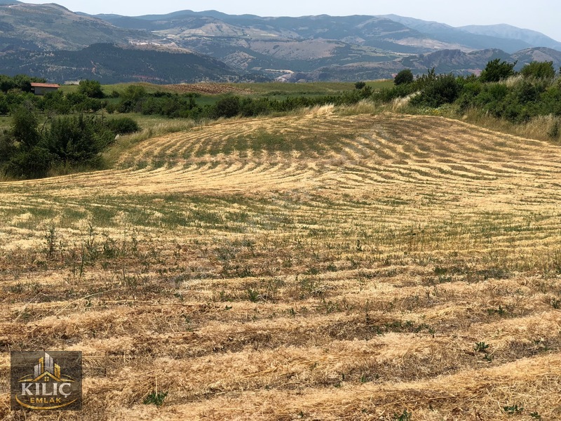 Günevi Köyünde Acil Satılık Yatırımlık Tarla — fotoğraf 8