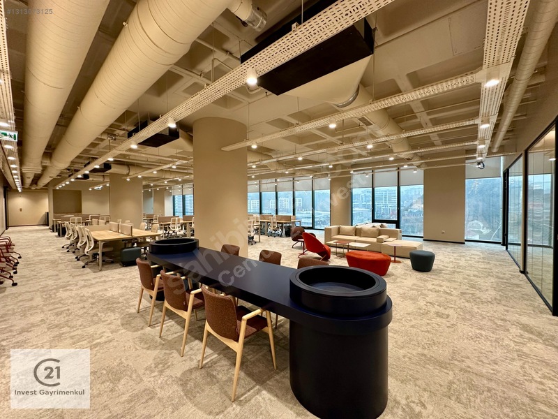 Vadistanbul'da 791m² Eşyalı, Teraslı Kiralık Ofis — fotoğraf 5