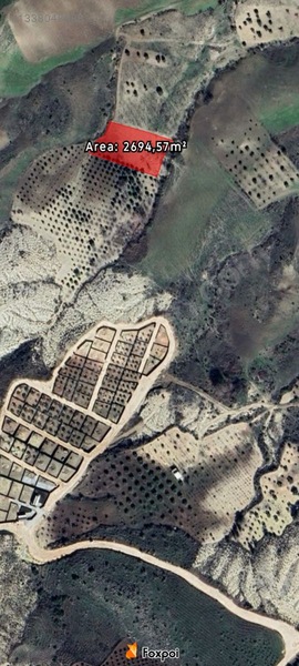 Paribus Gayrimenkul'den Fırsat Satılık Bağ Evlik Arazi