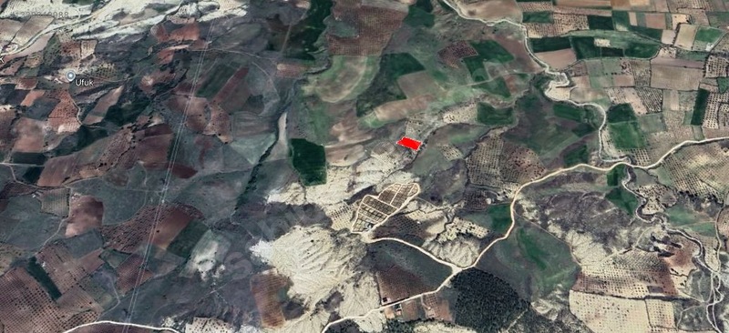 Paribus Gayrimenkul'den Fırsat Satılık Bağ Evlik Arazi — fotoğraf 2