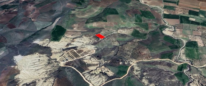 Paribus Gayrimenkul'den Fırsat Satılık Bağ Evlik Arazi — fotoğraf 6
